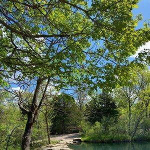 Meet your Posher, Carly